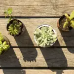 Tips Menjadikan Rumah Sebagai Tempat Tenang dan Harmonis