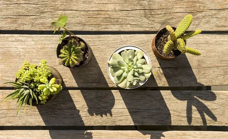 Tips Menjadikan Rumah Sebagai Tempat Tenang dan Harmonis